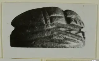 Blurred photograph of a dark, dome-shaped seal or scarab with ridged markings on its underside