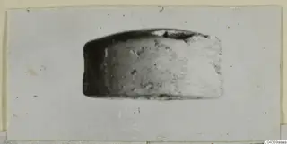 Small stone object titled Glyptic, seen from one side on a pale card mount