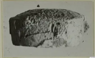 Stone glyptic object from Ayia Irini with a pitted surface and a darker end, seen against a pale background