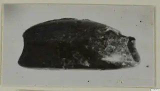 Glyptic find from Ayia Irini: a dark stone seal or gem seen from the side