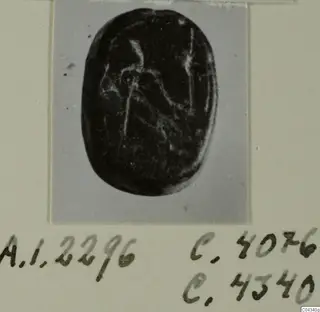 Dark oval stone seal with a faint incised design, shown in a photograph on a grey card mount