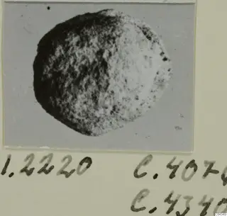 Small rounded stone object, recorded as a glyptic, shown on a mounted print with handwritten numbers below.