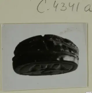 Scarab seal with an incised oval base, shown on its side
