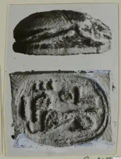 Scarab seal in two views: domed back above, flat base with incised marks below, on a mounted card.