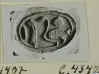 Engraved oval seal or gem from Ayia Irini, photographed close up and mounted on a card