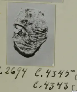 Oval seal or gem with incised lines, shown in a mounted photograph from Ayia Irini