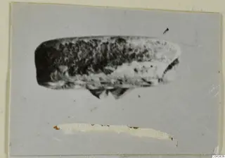 Blurred photograph of a small elongated stone object from Ayia Irini, possibly a scarab