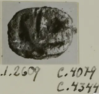 Small oval seal or gem with incised lines, photographed on a card mount with handwritten number labels below