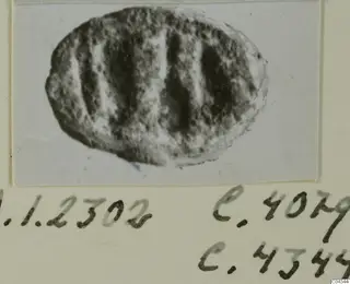 Oval stone glyptic object with bands of dark and light, shown as a photograph on a card mount