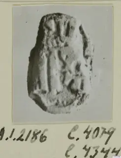 Small pale irregular object with impressed marks on its surface, shown on a photo mount