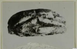 Glyptic find from Ayia Irini: a small stone object with dark and pale banding, photographed on a mounted card
