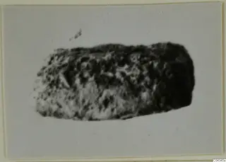 Small dark cylindrical object with a pitted surface, shown horizontally, Ayia Irini glyptic