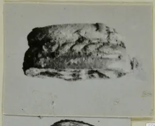 Blurred photograph of a small oblong stone object, possibly a scarab, from Ayia Irini, on a mounted print.