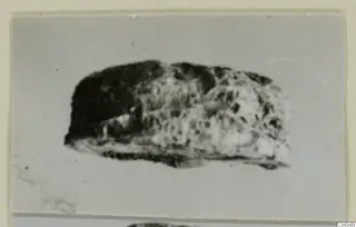 Small stone object from Ayia Irini, possibly a scarab, photographed on a grey card