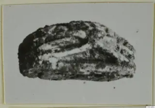Small stone seal or scarab from Ayia Irini, with a domed back and banded surface