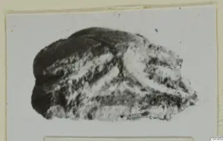 Small dark stone object with pale streaked surface and broken edges, from Ayia Irini