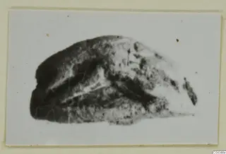 Mounted photograph of a stone scarab from Ayia Irini, shown against a pale background