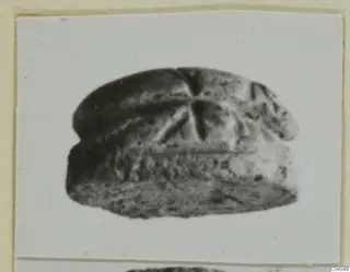 Scarab-shaped stone seal from Ayia Irini, shown in a photograph