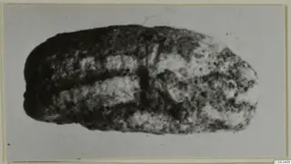 Stone scarab-type seal from Ayia Irini, shown close up on a card mount