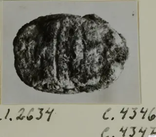 Oval stone seal or gem with vertical grooves on its back, photographed on a mounted card