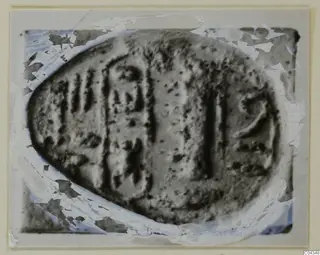 Oval glyptic object with incised signs and motifs, photographed close up