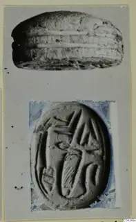 Two views of a scarab from Ajia Irini: the back with transverse ridges, and the incised oval base