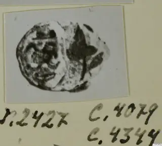 Oval seal or gem from Ayia Irini, photographed on a white card mount above handwritten numbers