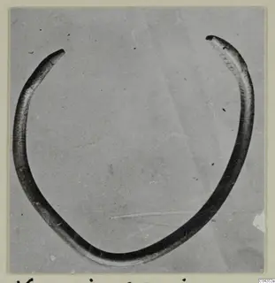 Open ring of silver, thin and tapering to a point at each end, photographed on a grey background