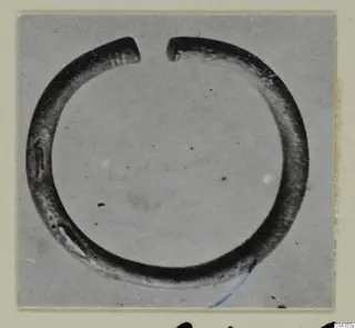 Open silver ring with a gap at the top, shown in a photograph mounted on a cream card