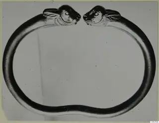 Open ring of smooth metal with an animal head at each end, facing the gap, shown against a plain background.