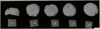 Five round flat jewellery discs with raised rims, each above a numbered label, from the Kastros tombs at Lapithos