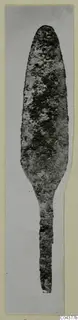 Corroded leaf-shaped metal blade with a long narrow tang, photographed upright on a card mount.