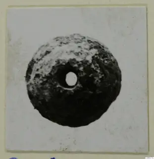 Flat round perforated object, dark with lighter mottled patches, photographed on a white card