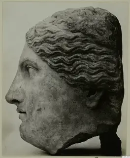Marble head in profile facing left, with wavy hair swept back and a broken base at the neck.