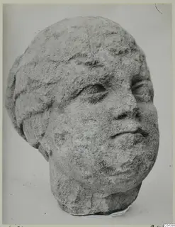 Carved stone head from Soli, shown in three-quarter view against a plain background