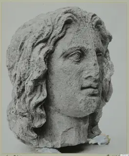 Stone statue head from Soli, with wavy hair and a broken neck, photographed against a plain grey background.