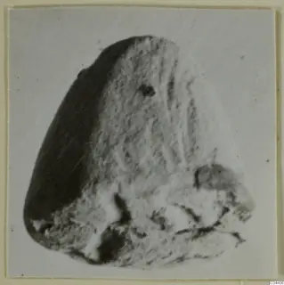 Close view of a small stone seal or gem from Ayia Irini