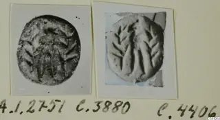 Two photographs of stone seals mounted side by side on a card, with handwritten find numbers below.