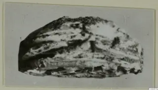 Irregular banded stone fragment recorded as glyptic from Ayia Irini, seals and gems