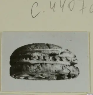 Scarab-shaped stone seal from Ayia Irini, shown in a close photograph mounted on a card
