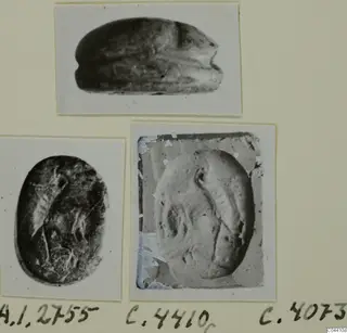 Scarab-shaped stone seal, shown from above, with two views of its flat engraved base beside it