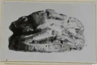 Blurred close view of a small stone seal or scarab from Ayia Irini, mounted on a card