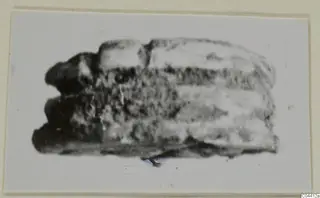 Blurred photograph of a small stone object, possibly a scarab, from the Ayia Irini seals and gems series