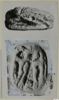 Two photographs of a scarab seal, its rounded back above and its engraved flat base below, on a card.