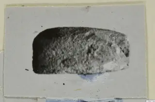Glyptic object from Ayia Irini, a dark stone seal or gem on a grey card mount