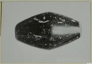 Dark bead-like object with tapering ends, photographed on a pale card.