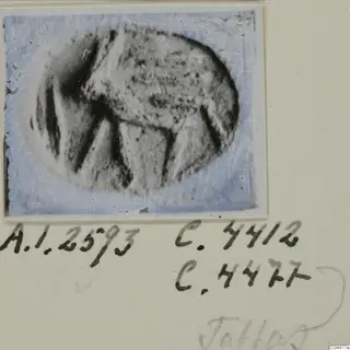 Oval stone seal with a carved design, shown as a print mounted on a card with handwritten numbers