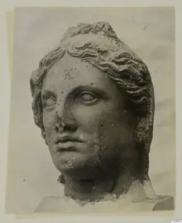 Stone head of a statue from Arsos, with wavy hair drawn up and a chipped nose