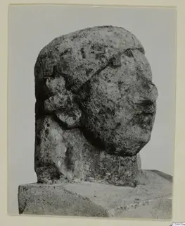 Weathered limestone head in side profile facing right, with a band across the crown, titled Limestone Neo-Cypriote
