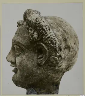 Head of a female statue in limestone, shown in profile, with hair in a high bun and an ear visible.